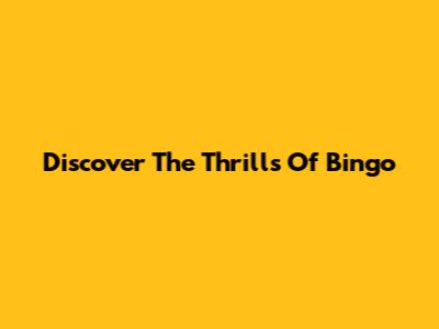 Discover The Thrills Of Bingo