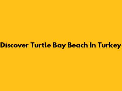 Discover Turtle Bay Beach In Turkey