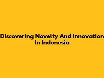 Discovering Novelty And Innovation In Indonesia