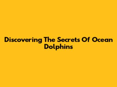 Discovering The Secrets Of Ocean Dolphins