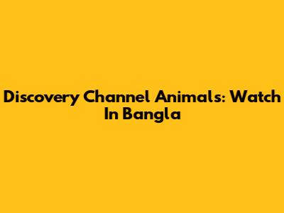 Discovery Channel Animals: Watch In Bangla