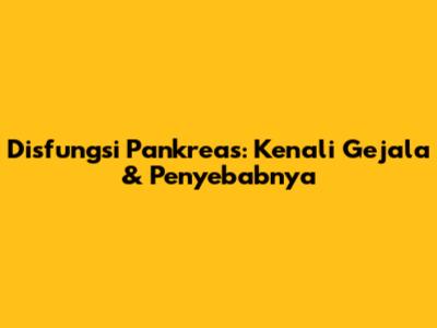 Disfungsi Pankreas: Kenali Gejala & Penyebabnya