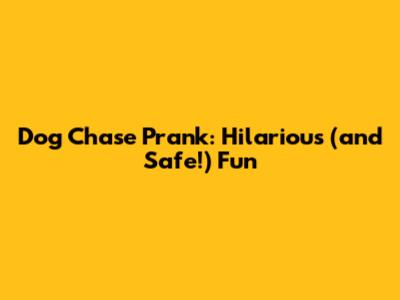 Dog Chase Prank: Hilarious (and Safe!) Fun