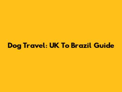 Dog Travel: UK To Brazil Guide