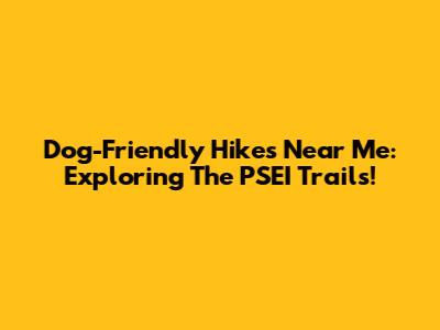 Dog-Friendly Hikes Near Me: Exploring The PSEI Trails!