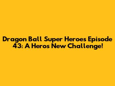 Dragon Ball Super Heroes Episode 43: A Hero's New Challenge!