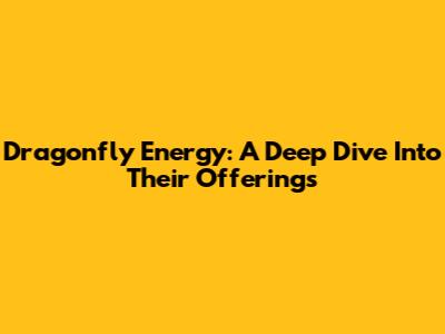 Dragonfly Energy: A Deep Dive Into Their Offerings