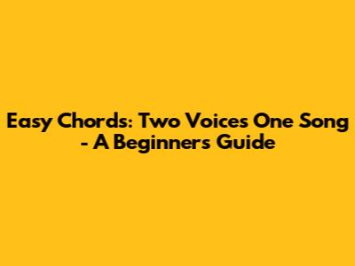 Easy Chords: Two Voices One Song - A Beginner's Guide