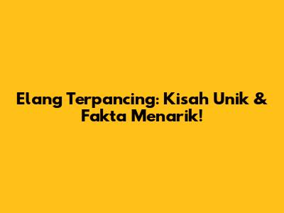 Elang Terpancing: Kisah Unik & Fakta Menarik!