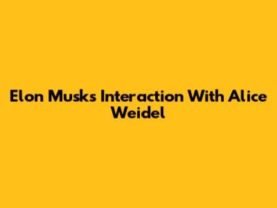 Elon Musk's Interaction With Alice Weidel