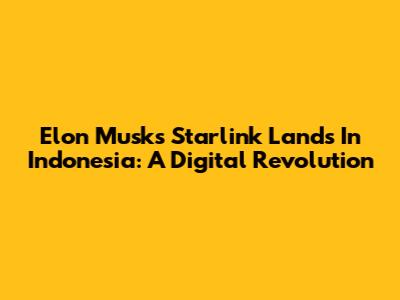 Elon Musk's Starlink Lands In Indonesia: A Digital Revolution