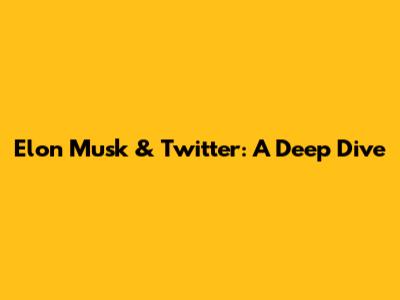 Elon Musk & Twitter: A Deep Dive