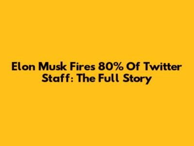 Elon Musk Fires 80% Of Twitter Staff: The Full Story