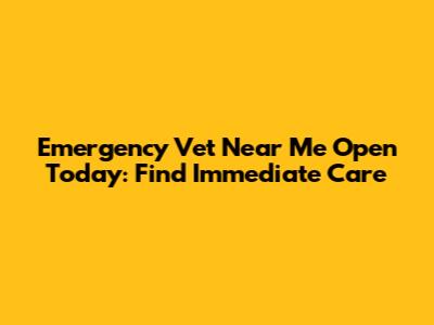 Emergency Vet Near Me Open Today: Find Immediate Care