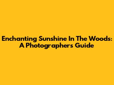 Enchanting Sunshine In The Woods: A Photographer's Guide