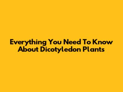 Everything You Need To Know About Dicotyledon Plants