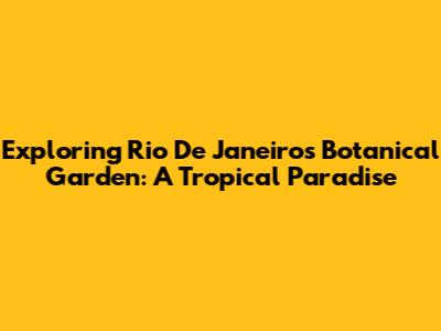 Exploring Rio De Janeiro's Botanical Garden: A Tropical Paradise