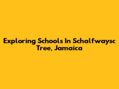 Exploring Schools In Schalfwaysc Tree, Jamaica