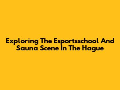 Exploring The Esportsschool And Sauna Scene In The Hague