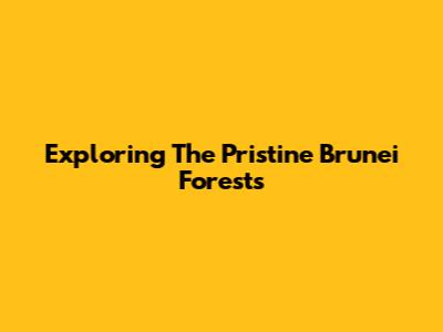 Exploring The Pristine Brunei Forests