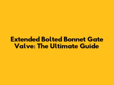 Extended Bolted Bonnet Gate Valve: The Ultimate Guide