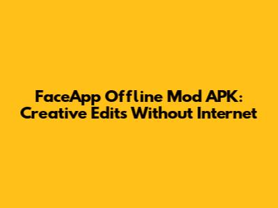 FaceApp Offline Mod APK: Creative Edits Without Internet