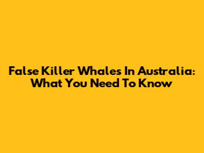 False Killer Whales In Australia: What You Need To Know