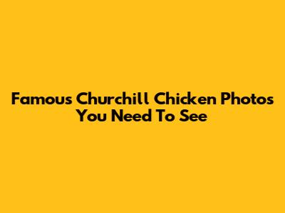 Famous Churchill Chicken Photos You Need To See