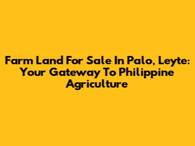 Farm Land For Sale In Palo, Leyte: Your Gateway To Philippine Agriculture
