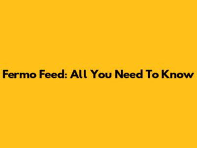 Fermo Feed: All You Need To Know