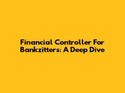 Financial Controller For Bankzitters: A Deep Dive