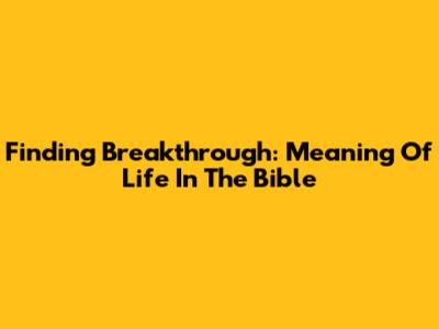 Finding Breakthrough: Meaning Of Life In The Bible