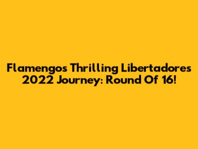 Flamengo's Thrilling Libertadores 2022 Journey: Round Of 16!