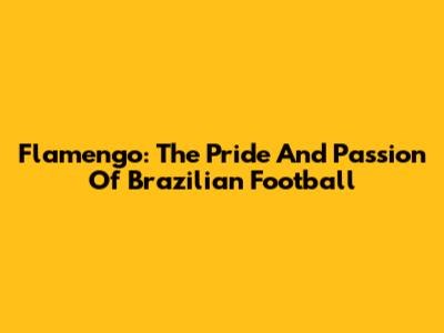 Flamengo: The Pride And Passion Of Brazilian Football