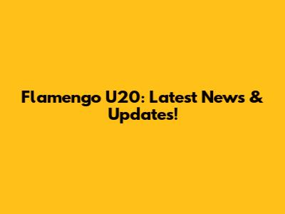 Flamengo U20: Latest News & Updates!