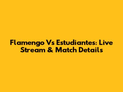 Flamengo Vs Estudiantes: Live Stream & Match Details