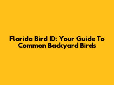 Florida Bird ID: Your Guide To Common Backyard Birds