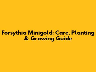 Forsythia Minigold: Care, Planting & Growing Guide