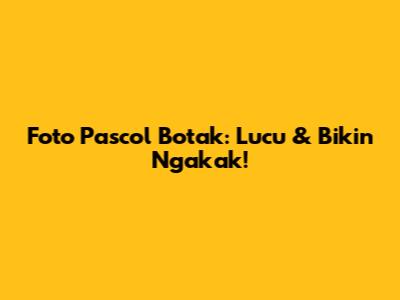 Foto Pascol Botak: Lucu & Bikin Ngakak!