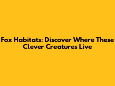 Fox Habitats: Discover Where These Clever Creatures Live