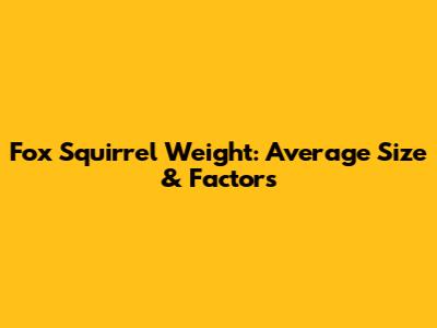 Fox Squirrel Weight: Average Size & Factors