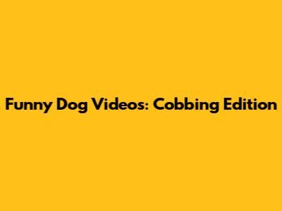 Funny Dog Videos: Cobbing Edition