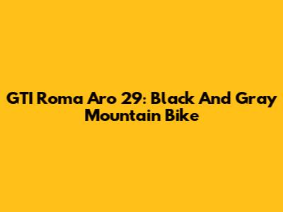 GTI Roma Aro 29: Black And Gray Mountain Bike