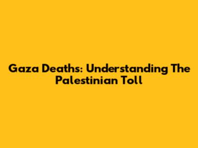 Gaza Deaths: Understanding The Palestinian Toll