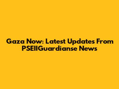 Gaza Now: Latest Updates From PSEIIGuardianse News