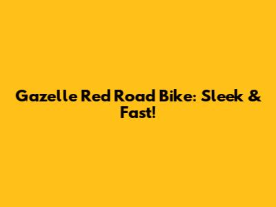 Gazelle Red Road Bike: Sleek & Fast!