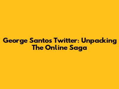George Santos Twitter: Unpacking The Online Saga