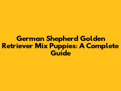 German Shepherd Golden Retriever Mix Puppies: A Complete Guide