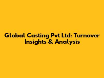 Global Casting Pvt Ltd: Turnover Insights & Analysis