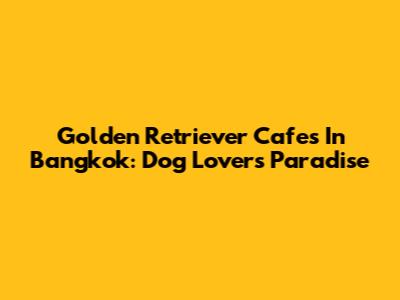 Golden Retriever Cafes In Bangkok: Dog Lover's Paradise